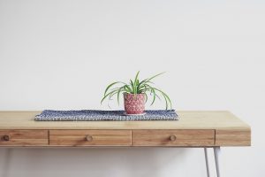 Ein minimalistischer Arbeitsplatz mit einer kleinen Zimmerpflanze auf einer schlichten Kommode vermittelt Ruhe und Klarheit. Bei ADHS kann eine reizfreie Umgebung helfen, Reizüberflutung zu reduzieren – besonders relevant im Berufsumfeld in der Schweiz.