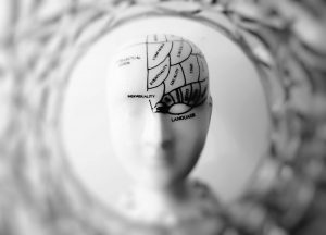 Symbolbild für neurologische Diversität: Darstellung eines modellierten Kopfes mit markierten Hirnarealen – häufig verwendet im Kontext von ADHS, Autismus und Neurodivergenz.