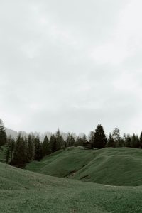 Eine ruhige Schweizer Landschaft mit sanften grünen Hügeln und einem kleinen Holzhaus inmitten von Nebel und Tannen. Dieses Bild symbolisiert Rückzug und Entschleunigung – wichtige Themen für Menschen mit ADHS, die in der Schweiz Reizüberflutung ausgleichen möchten. Natur und Ruhe können bei ADHS helfen, die innere Balance zu finden.