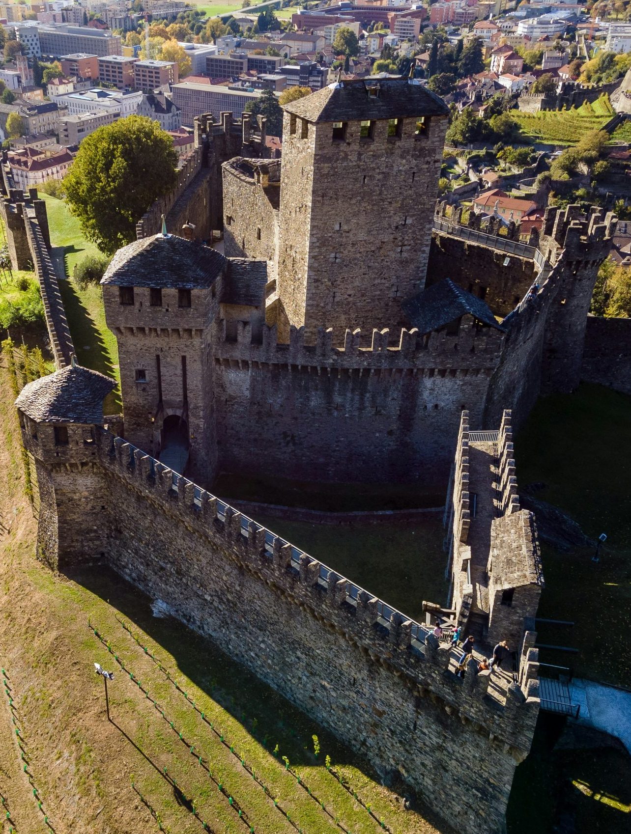 Burg von Bellinzona